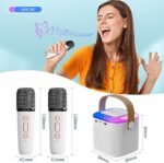 máquina de karaoke con 2 micrófonos Bluetooth tamaño