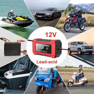 D-shop | D-Shop Canarias